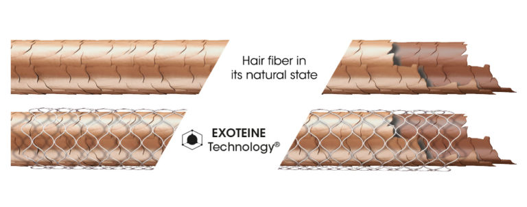 Nuwee - Exoteine Technology